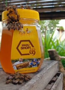 madu obat berbagai macam penyakit